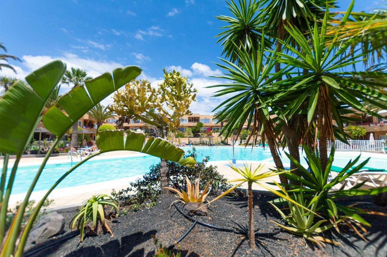 Poolviewzen-Corralejoplaya Lägenhet Exteriör bild
